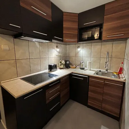 Apartment Under The Castle